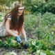 Cultivating a Sustainable Tomorrow: Embracing the Science and Art of Permaculture