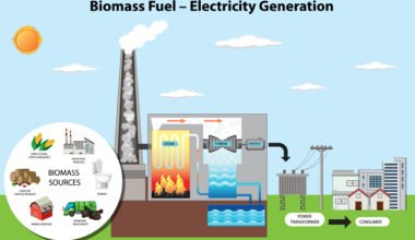 Diagram illustrating biomass fuel electricity generation process