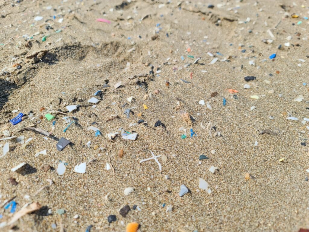 Crisis in the Sand: Microplastics Invade Our Shores