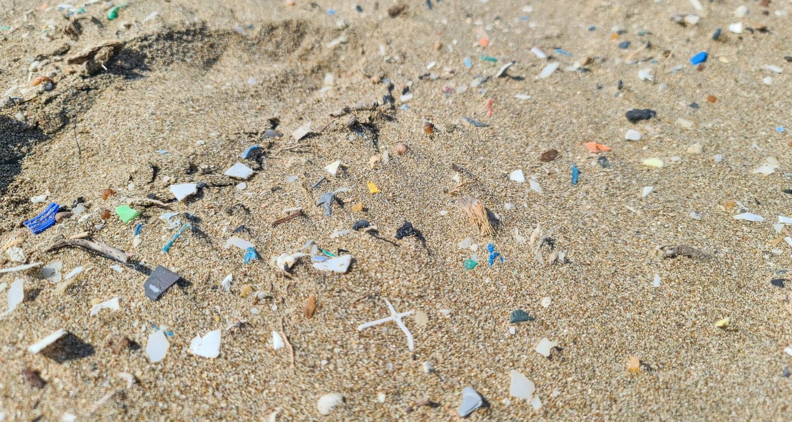 Microplastics: The Silent Killer of Our Oceans and Wildlife - CertainECO
