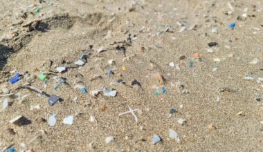 Crisis in the Sand: Microplastics Invade Our Shores