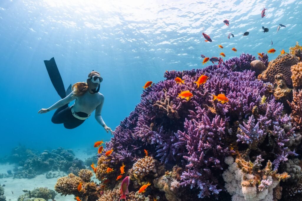Explore the wonders of our Ocean Ecosystem as we showcase the rich biodiversity of the NEOM Islands' vibrant coral reefs and marine life in Saudi Arabia