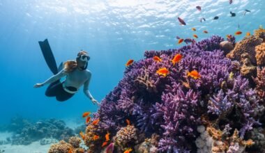 Explore the wonders of our Ocean Ecosystem as we showcase the rich biodiversity of the NEOM Islands' vibrant coral reefs and marine life in Saudi Arabia
