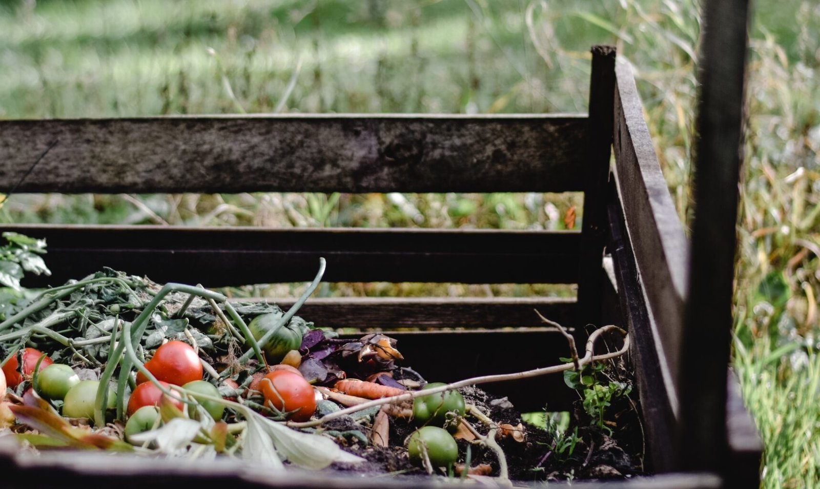 Creating a Greener Tomorrow: DIY No Waste Composting Bin for a Zero-Waste Lifestyle