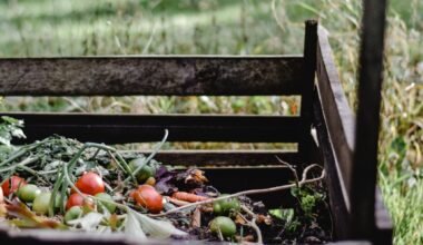 Creating a Greener Tomorrow: DIY No Waste Composting Bin for a Zero-Waste Lifestyle