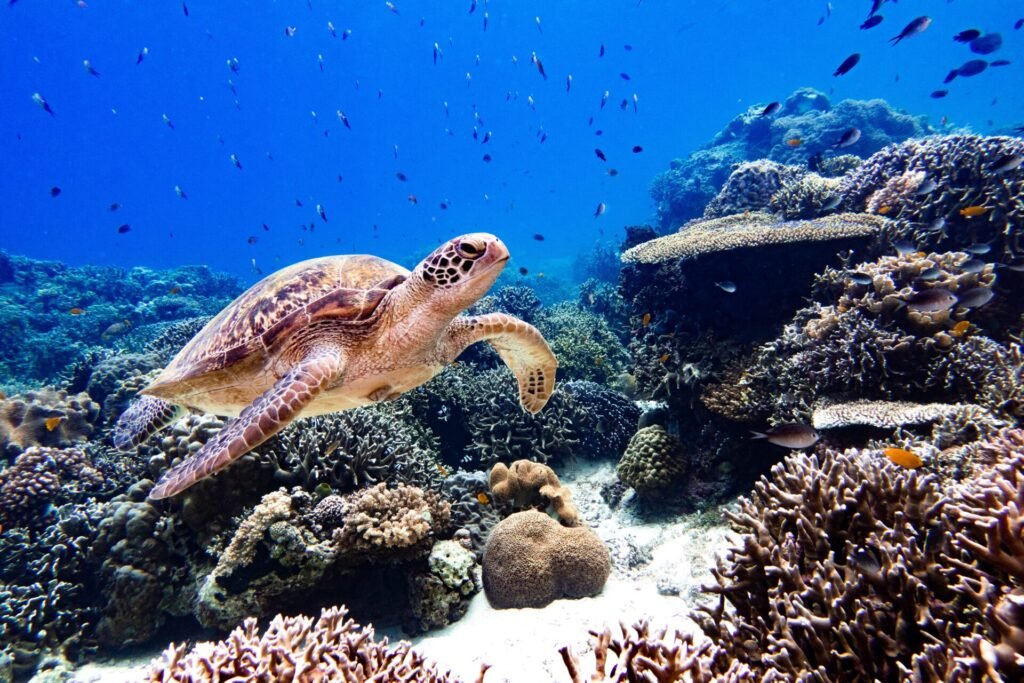 A mesmerizing underwater tableau: A turtle gracefully glides amid a school of colorful fish within bustling coral reefs