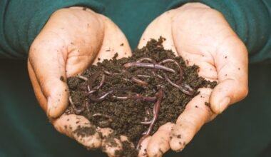 Earthworm Magic: Unleash the Power of Vermicompost for Plants