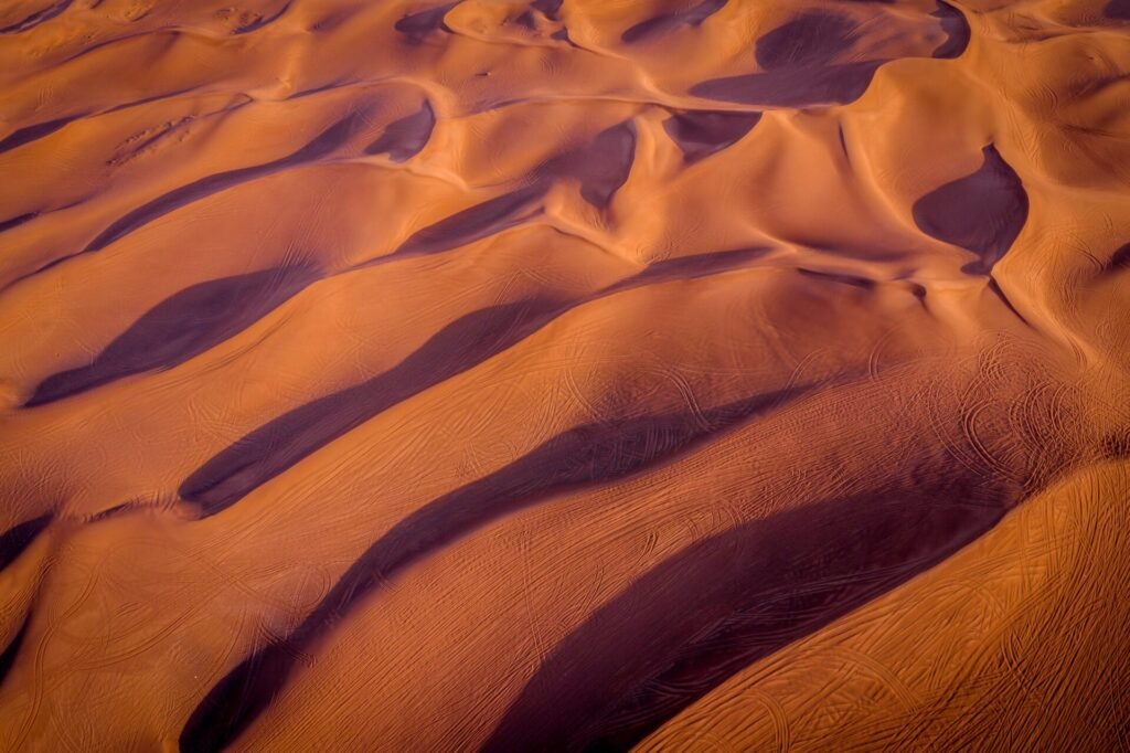 Desert Ecosystems: Thriving Amidst Arid Challenges