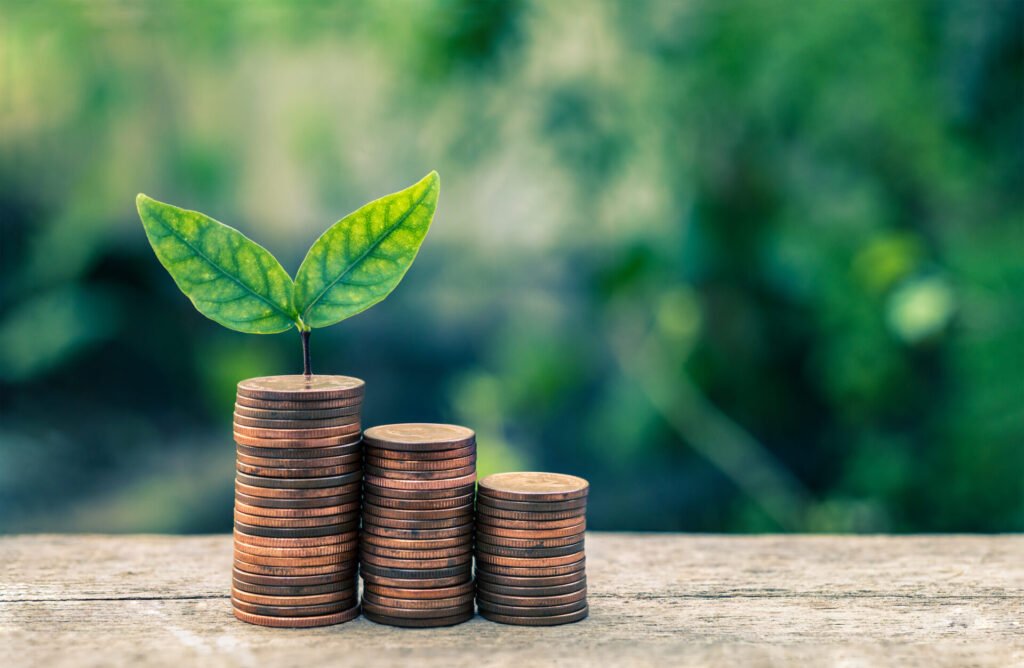 Carbon Credit Blooms: Symbolizing the growth of sustainable carbon credit investments